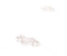 Web漏洞扫描工具